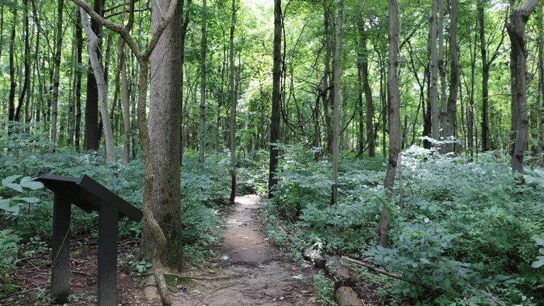 Fox’s Gap - South Mountain Battlefield State Park