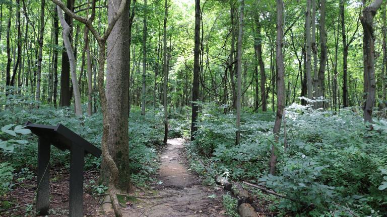 Fox’s Gap - South Mountain Battlefield State Park