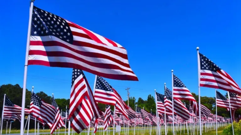 American Flags in a field