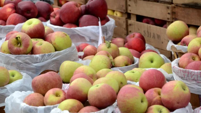 Baskets of Darlington Apples at the Darlington Apple Festival
