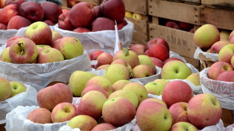 Baskets of Darlington Apples at the Darlington Apple Festival