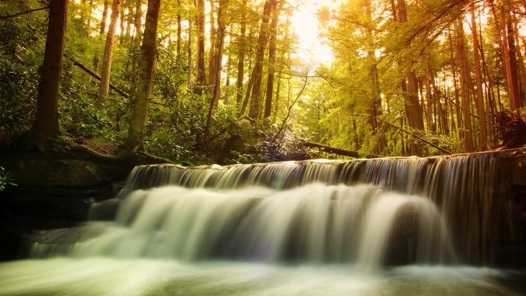 This state park near Oakland will treat you to incredible views of mountains plus a 53-foot waterfall. Photo: Natural Artistry