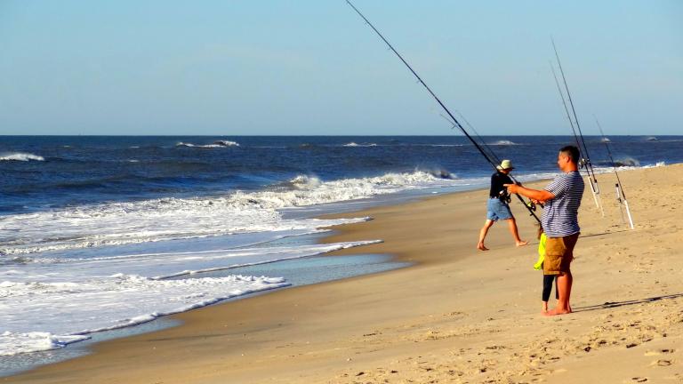 Fish in the Atlantic from peaceful Assateague Island.