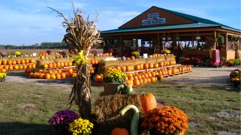 Adkins Farm Market - Salisbury
