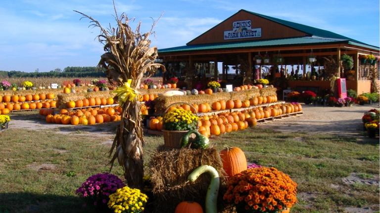 Adkins Farm Market - Salisbury