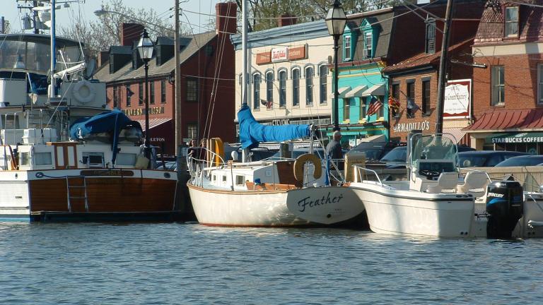 Cruise up in your boat to Ego Alley, or come on foot and marvel at the beautiful boats.