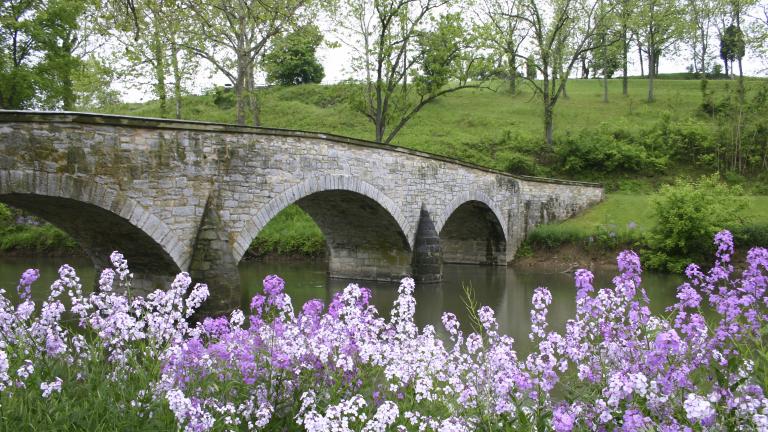 This now scenic bridge over Antietam Creek was once the site of intense fighting. Confederate soldiers held the area overlooking the bridge until Union General Ambrose Burnside's command captured the bridge and crossed the creek.
