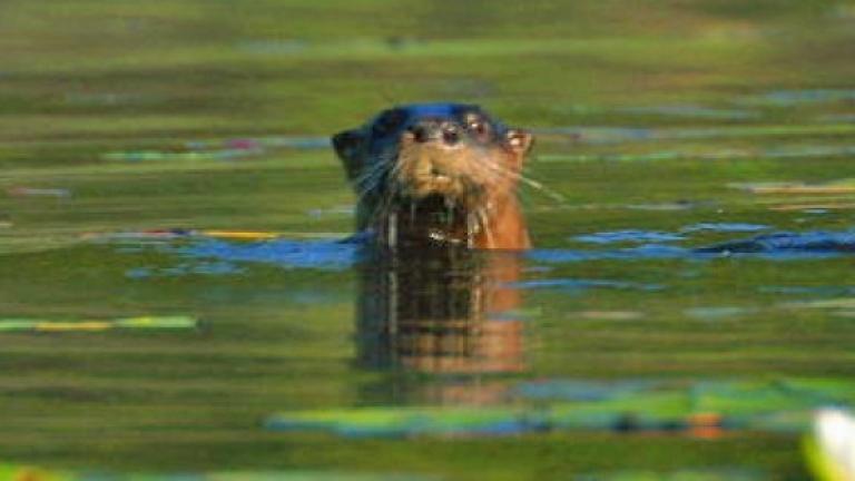 The Anita C. Leight Estuary Center