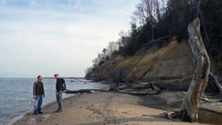 Calvert Cliffs State Park in Lusby