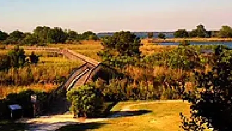 Cross Island Trail