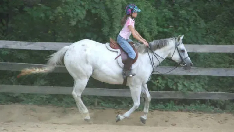 A young rider at En-Tice-Ment-Stables