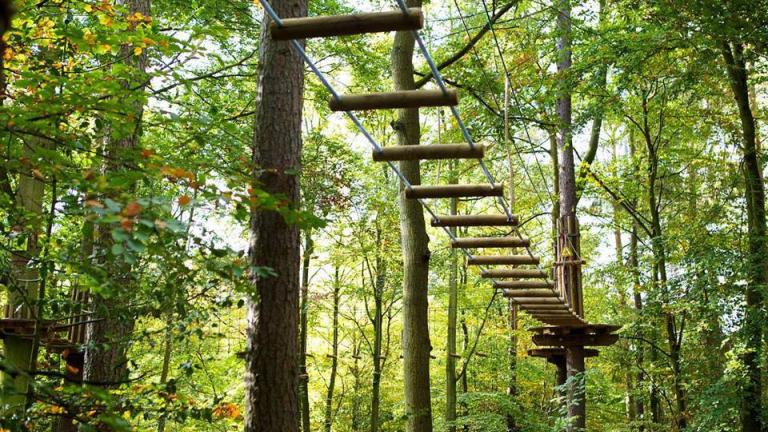 For zip lining and active fun outdoors, head to the Go Ape Treetop Adventure Course in Rockville.