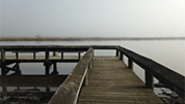 Jackson's Landing