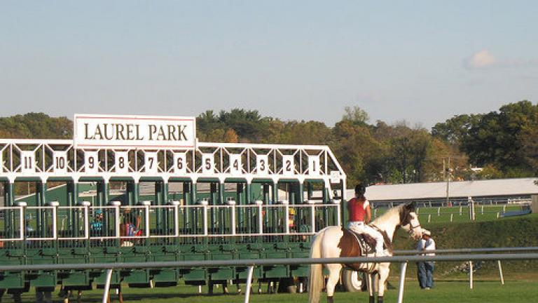 Horse racing track