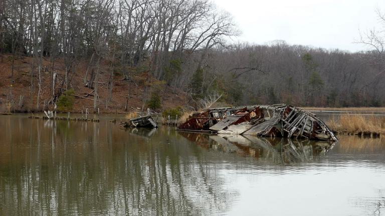 Mallows Bay Shipwreck