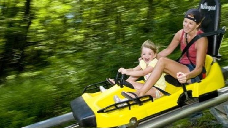 Mountain Coaster at Wisp Resort