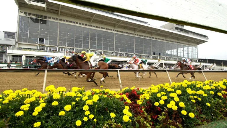 Horses racing