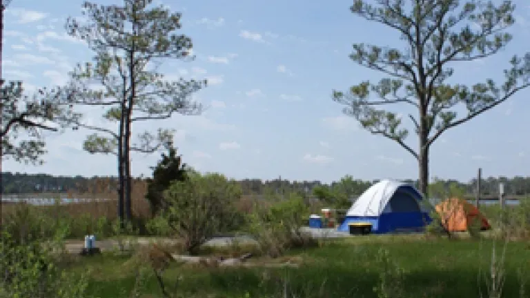 Camping at Point Lookout State Park