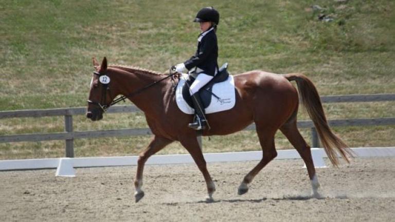 A young rider at Reddemeade Equestrian Center