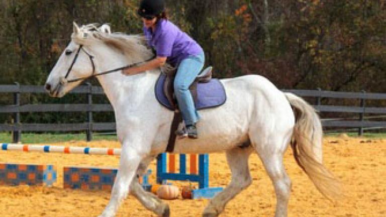 A rider on a white horse at Rolling Hill Ranch