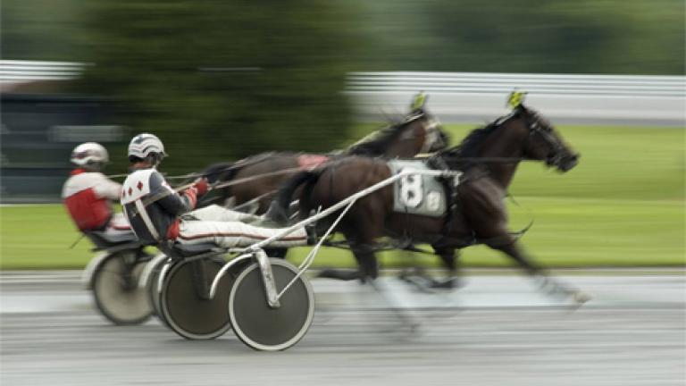 harness racing track