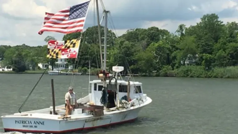 Van Alstine Seafood Farm