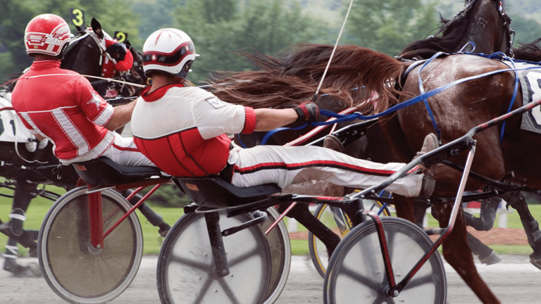 Live Harness Racing