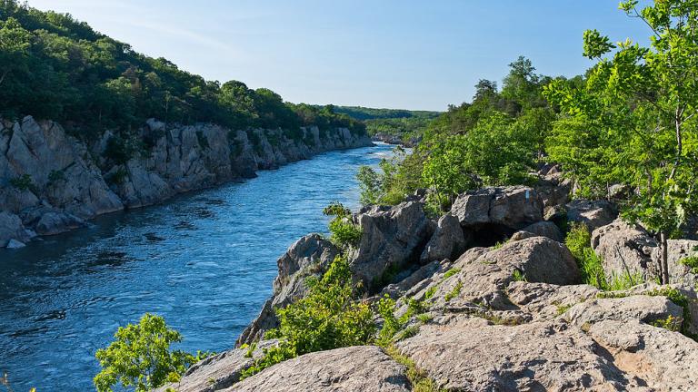 Be rewarded with beautiful views of the Great Falls of the Potomac on this trail.