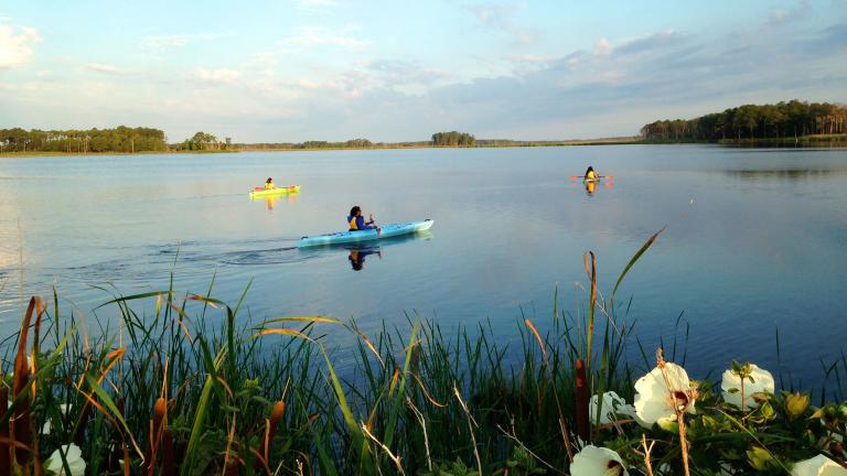 Blackwater Refuge offers land trails, paddling trails, exceptional bird and wildlife viewing, as well as hunting, fishing and crabbing opportunities in season. Several local outfitters offer canoe, kayak or bicycle rentals.