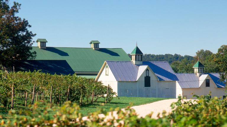Boordy Vineyards