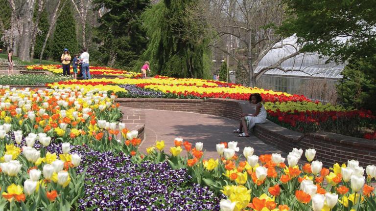 "Hop" over to these public gardens in Spring (and other times of year) to see hundreds of blooms.