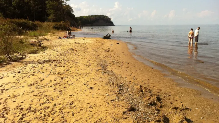 This Chesapeake Bay beach is famous with fossil hunters looking for sharks teeth.