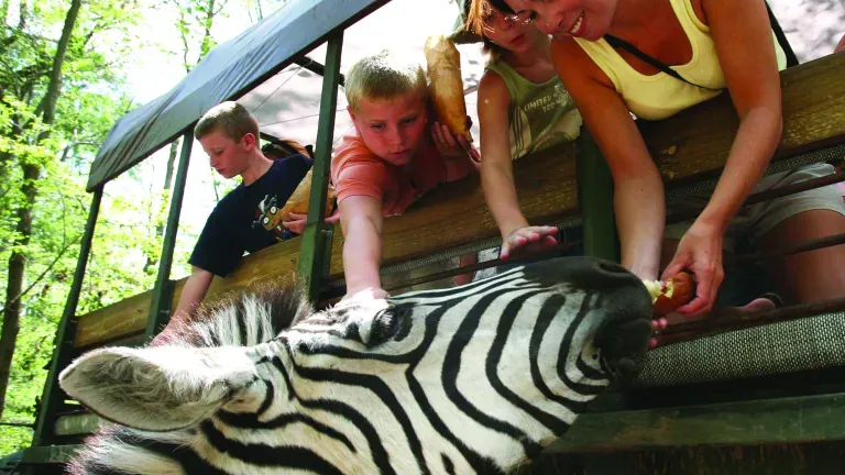 Zoo Safari at the Catoctin Wildlife Preserve and Zoo