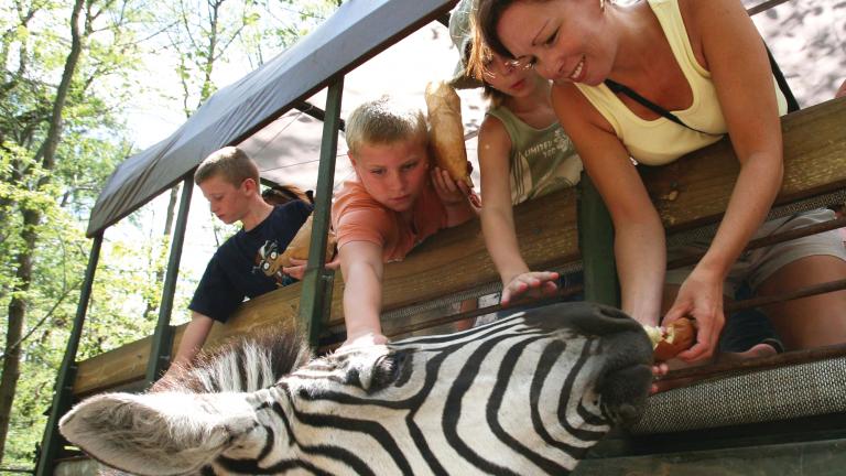 Zoo safari at the Catoctin Wildlife Preserve and Zoo in Thurmont