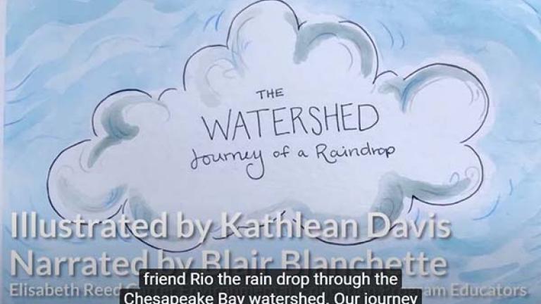 Chesapeake Bay Foundation's Journey of a Raindrop