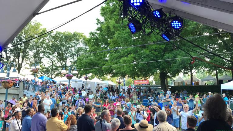 Crowd at Arts Festival