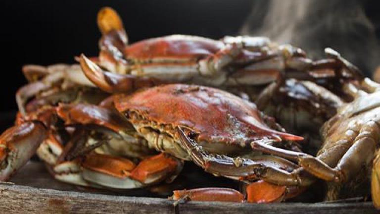 Crabs on a Tray