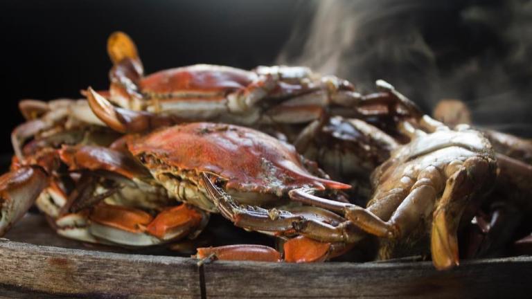 Crabs