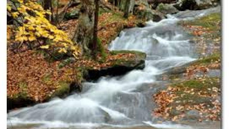 Cunningham Falls is known for its scenic beauty, history and 78-ft. cascading waterfall, plus great hunting, swimming, beaches, boat rental, hiking, and camping.