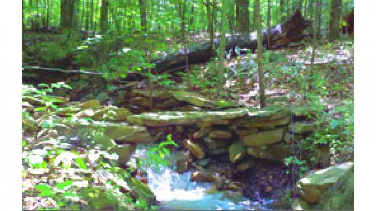 Dan's Mountain State Park