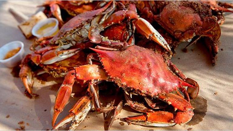 Crabs at the Maryland Seafood Festival