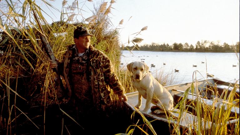 The Eastern Shore of Maryland has some of the best duck hunting in the world.