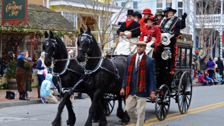 horsedrawn carriage