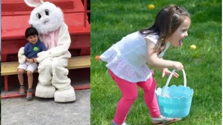 Easter Fun