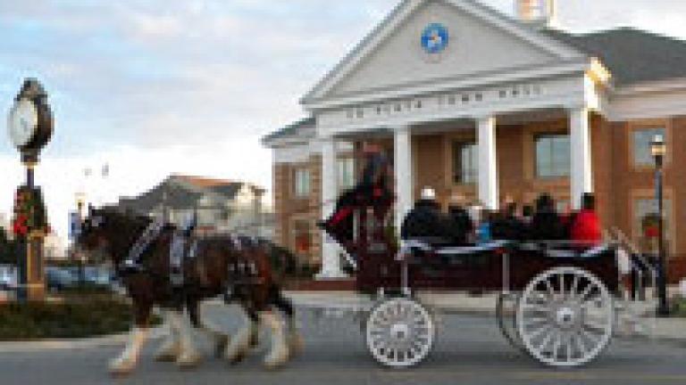 horse drawn carriage