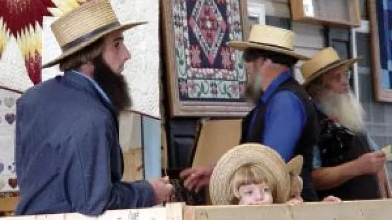 Amish Quilt Auction