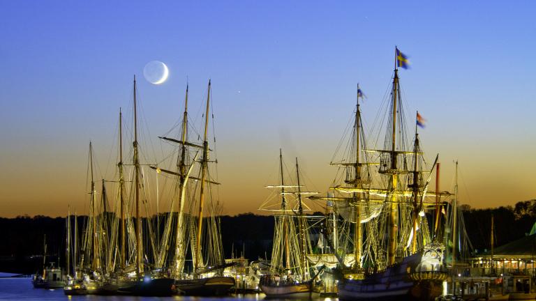 Tall Ships