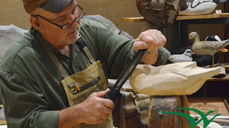 decoy carver