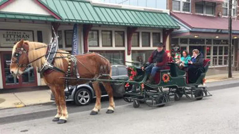 horse and sleigh