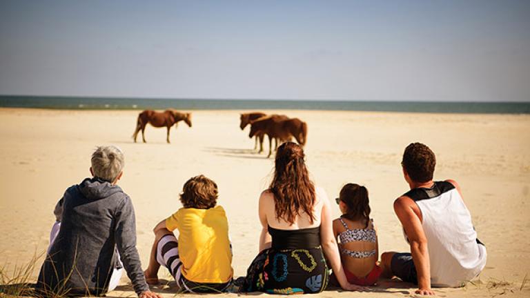 Family on the beach with ponies